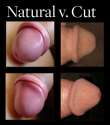 Natural-v-Cut.jpg