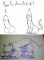 draw cat.jpg