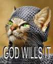 458-god-wills-it-cat.jpg