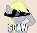 118335__safe_derpy+hooves_image+macro_sunglasses_derp_swag_sgaw.png