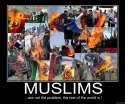 Muslims not a problem.jpg