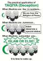 Islam Says Its Okay To Lie To Infidels.jpg