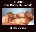 trump - you know he would if he could.jpg
