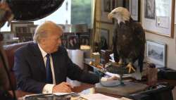 Trump_eagle.gif