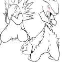 Typhlosion18.png