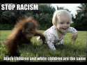 stop-racism-meme.jpg