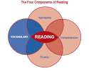 components-of-reading.gif