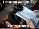 cat-hungry.jpg