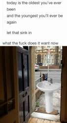 sink_in.jpg
