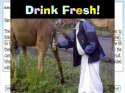 Drink-Fresh.jpg