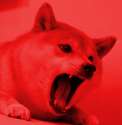 Doge sees Red.png