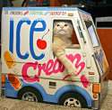 CatIceCreamTruck7.png