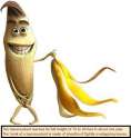 bananafact011.png