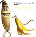 bananajokes006.jpg
