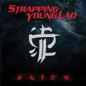 220px-Strappingyoungladalien.jpg