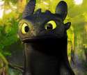-Toothless-Hiccup-toothless-the-dragon-33080312-245-213.gif