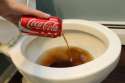 Coke-in-toilet.jpg