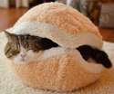 Cat-Burger-Pillow.jpg