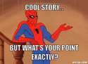 spiderman-meme-generator-cool-story-but-what-s-your-point-exactly-71b51b.jpg