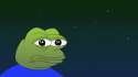 Beautiful sad frog.gif