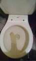 someone stole my toilet seat.jpg