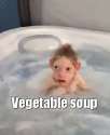vegetable_soup.gif