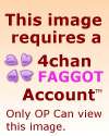 4chan faggot account.jpg