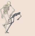 skeleton-animated-gif-20.gif
