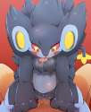Luxray27.png