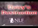 Daisy's Destruction.jpg