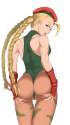 1676886 - Cammy_White Street_Fighter.png