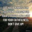 229875-God-Has-A-Purpose-For-Your-Pain.jpg
