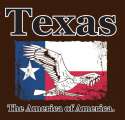 Texas_The_America_of_America.jpg