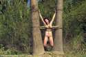 naked-girl-tied-to-tree-bondage.jpg
