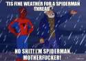 fine weather for spiderman thread.png
