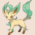 250px-470Leafeon.png
