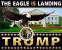 Eagle has landed - Trump.jpg