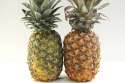 two-pineapples.jpg