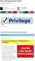 privilege_chekt.png