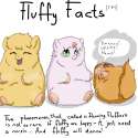 33473 - Fluffy_Facts artist artist-kun dancie_babbeh foals hugbox safe.png