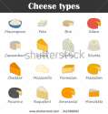 stock-vector-set-of-hand-drawn-cheese-types-icons-342386693.jpg