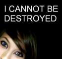 boxxy+cant+be+destroyed.jpg