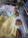£££Collect pic of Emma and Mark Robbins quadruplets shortly after their delivery early 2012, in Bristol..jpg