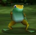 cool frog.gif