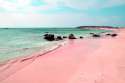 pink beach.jpg