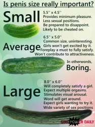 Penis Pickle.jpg