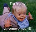 highonchromosomes.jpg