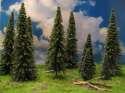 pine_trees.jpg