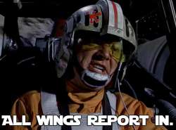 All Wings Report.jpg