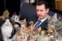 bashar_al_assad_and_cats_by_top_kek-d6sb0ll.jpg